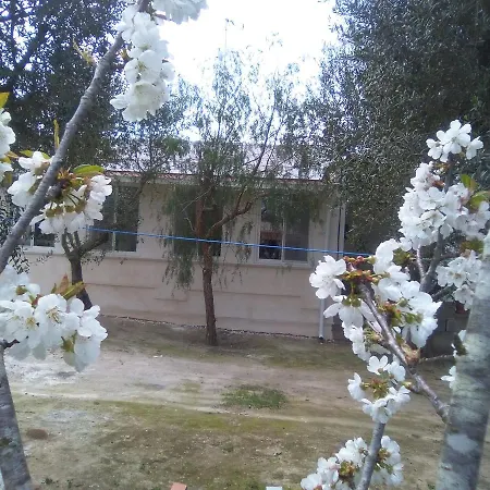 Casa Vacanza Fiorella Kır Evi Torre dell'Orso