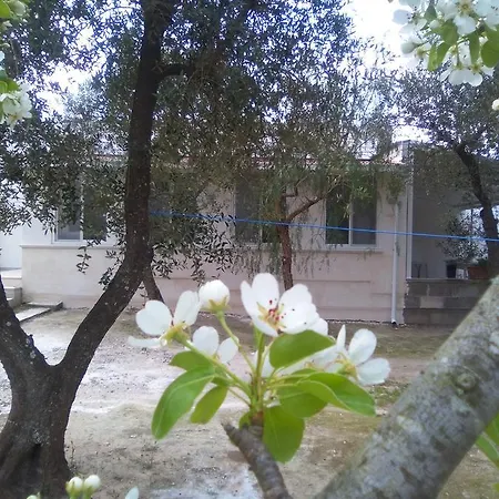 Casa Vacanza Fiorella Kır Evi Torre dell'Orso