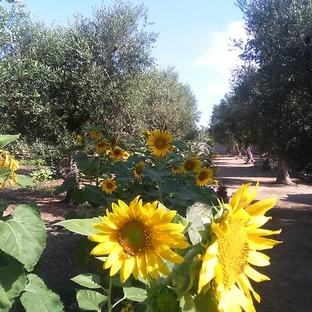 Casa Vacanza Fiorella *