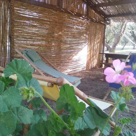 בית כפרי Casa Fiorella טורה דל'אורסו